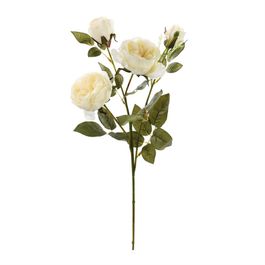 HASTE DE ROSAS X4 64 CM - BRANCO