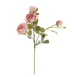 HASTE DE ROSAS X4 64 CM - ROSA