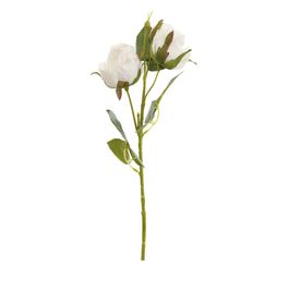 HASTE DE ROSAS X3 41 CM - BRANCO