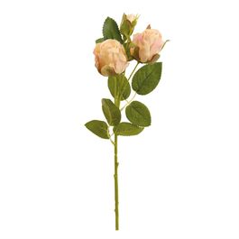 HASTE DE ROSAS X3 41 CM - CHAMPAGNE