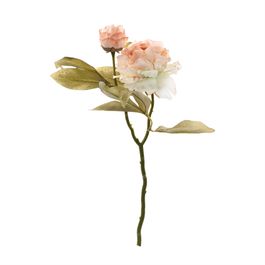 HASTE DE PEÔNIAS X2 47 CM - CHAMPAGNE