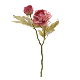 HASTE DE PEÔNIAS X2 47 CM - ROSA