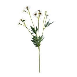 BUQUÊ DE GÉRBERA X10 52 CM - BRANCO