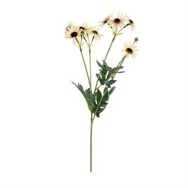 BUQUÊ DE GÉRBERA X10 52 CM - CHAMPAGNE