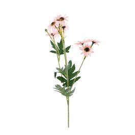 BUQUÊ DE GÉRBERA X10 52 CM - ROSA