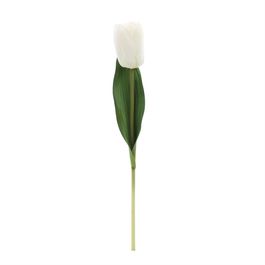 HASTE DE TULIPA X1 38 CM - BRANCO