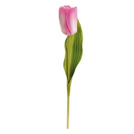 HASTE DE TULIPA X1 38 CM - ROXO