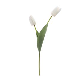 HASTE DE TULIPA X2 50 CM - BRANCO