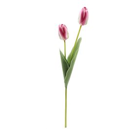 HASTE DE TULIPA X2 50 CM - ROXO