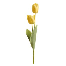 HASTE DE TULIPA X2 50 CM - AMARELO