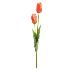 HASTE DE TULIPA X2 50 CM - LARANJA