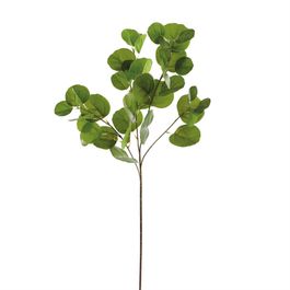 HASTE DE EUCALIPTO X39 79 CM - VERDE