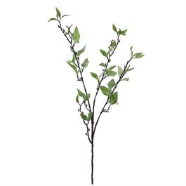 HASTE COM FOLHAGENS X28 85 CM - VERDE