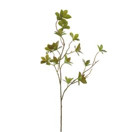 HASTE DE DODAN-TSUSUJI X17 70 CM - VERDE ESCURO