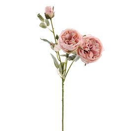 HASTE DE ROSAS X3 60 CM - ROSA