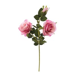 HASTE DE ROSAS X3 54 CM - PINK