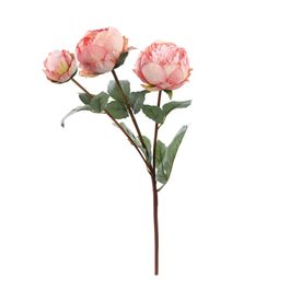 HASTE DE PEÔNIAS X3 70 CM - ROSA