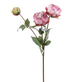 HASTE DE PEÔNIAS X3 70 CM - ROXO