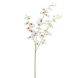 HASTE DE ORQUÍDEA X32 83 CM - BRANCO