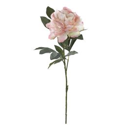 HASTE DE PEÔNIA X1 80 CM - ROSA