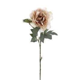 HASTE DE PEÔNIA X1 80 CM - MARROM