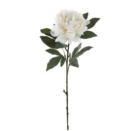 HASTE DE PEÔNIA X1 80 CM - BRANCO