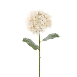 HASTE DE PEÔNIA X1 68 CM - BRANCO