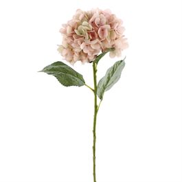 HASTE DE PEÔNIA X1 68 CM - ROSA