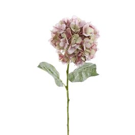 HASTE DE PEÔNIA X1 68 CM - ROXO