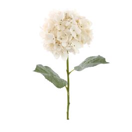 HASTE DE HORTÊNSIA X144 35 CM - BRANCO