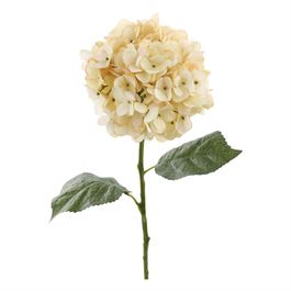 HASTE DE HORTÊNSIA X144 35 CM - CHAMPAGNE
