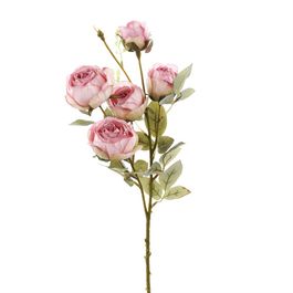 BUQUÊ DE ROSAS X5 57 CM - ROSA