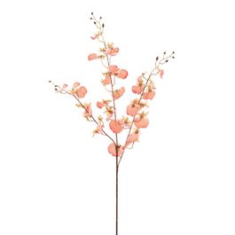 HASTE DE ORQUÍDEAS X32 83 CM - LARANJA