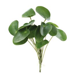 PICK DE PILEA X19 28 CM - VERDE