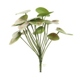PICK DE PILEA X19 28 CM - VERDE / MARROM