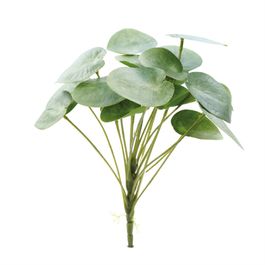 PICK DE PILEA X19 28 CM - VERDE / BRANCO