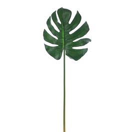 HASTE DE COSTELA DE ADÃO 68 CM - VERDE