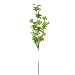 BUQUÊ DE FOLHAGENS - VERDE