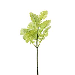 BUQUÊ DE FOLHAGENS - VERDE