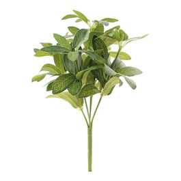 BUQUÊ DE FOLHAGENS - VERDE