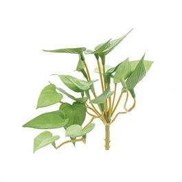 PICK DE FOLHAGENS - VERDE