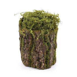 TRONCO RÚSTICO - MARROM