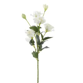 HASTE DE ROSAS - BRANCO