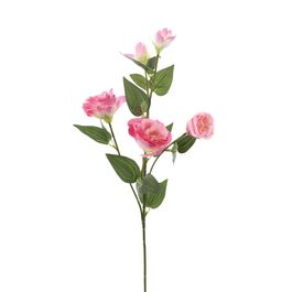 HASTE DE ROSAS - ROSA