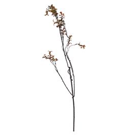 GALHO RÚSTICO 105 CM - VERDE