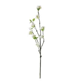 BUQUÊ DE STAR FLOWER X20 42 CM - BRANCO