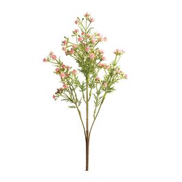 BUQUÊ DE STAR FLOWER X20 42 CM - ROSA
