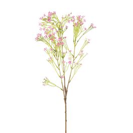 BUQUÊ DE WALLFLOWER X36 76 CM - ROSA