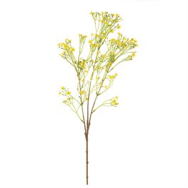 BUQUÊ DE WALLFLOWER X36 76 CM - AMARELO