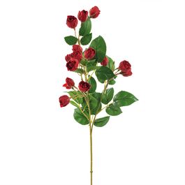 BUQUÊ DE ROSAS X15 70 CM - VERMELHO
